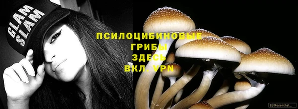 mix Пестово