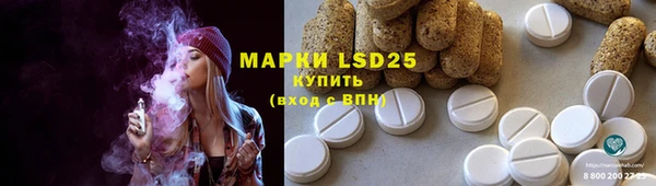 ешки Кукмор