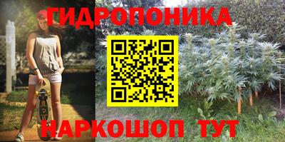 a pvp Азнакаево