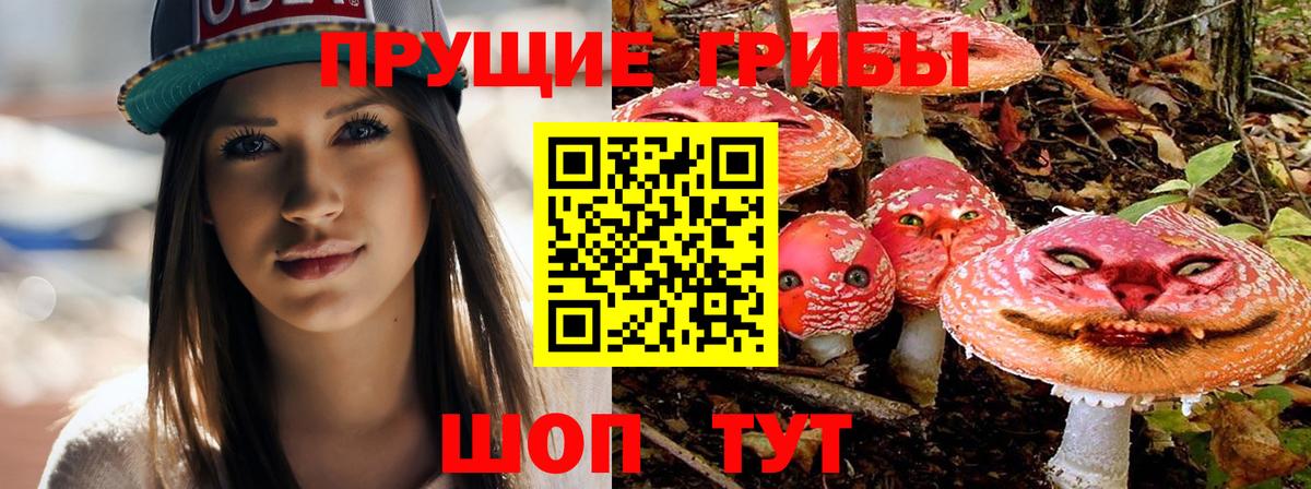 Псилоцибиновые грибы Magic Shrooms  Ангарск 