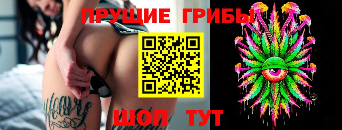 Галлюциногенные грибы Cubensis  Вход с VPN  Ангарск 
